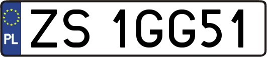 ZS1GG51