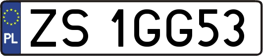 ZS1GG53