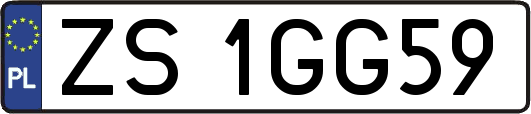 ZS1GG59