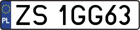 ZS1GG63