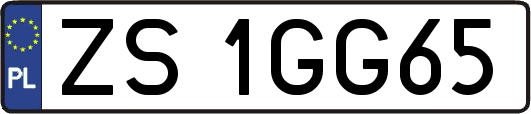 ZS1GG65