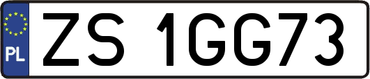 ZS1GG73