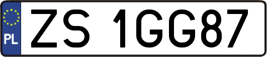 ZS1GG87