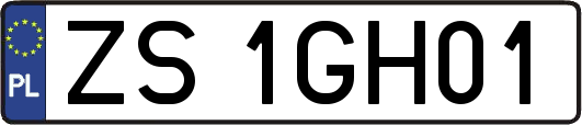 ZS1GH01