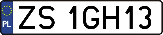ZS1GH13