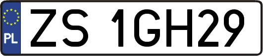 ZS1GH29