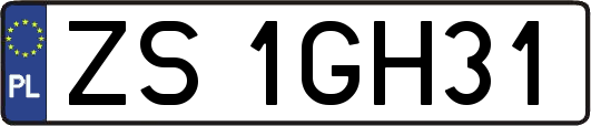 ZS1GH31