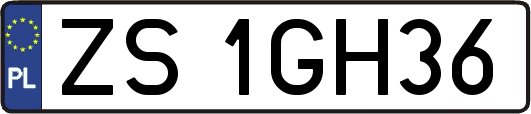 ZS1GH36