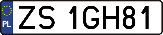 ZS1GH81