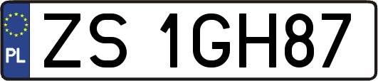 ZS1GH87