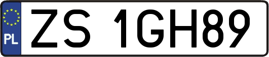 ZS1GH89