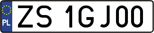 ZS1GJ00