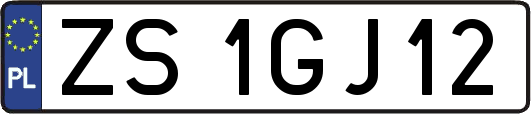 ZS1GJ12