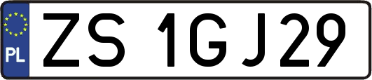 ZS1GJ29
