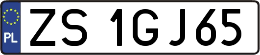 ZS1GJ65