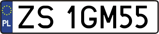 ZS1GM55