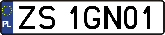 ZS1GN01