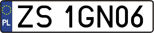 ZS1GN06