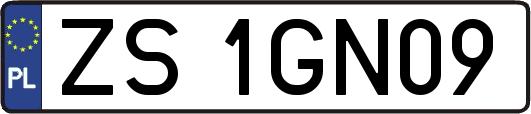 ZS1GN09