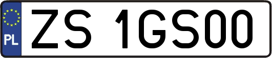 ZS1GS00