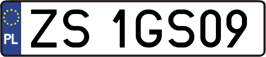 ZS1GS09
