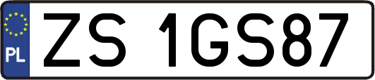 ZS1GS87