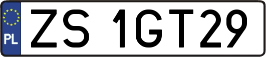 ZS1GT29