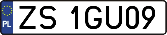 ZS1GU09
