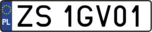 ZS1GV01