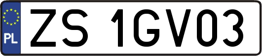 ZS1GV03