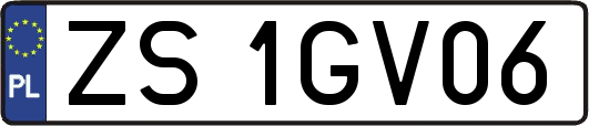 ZS1GV06