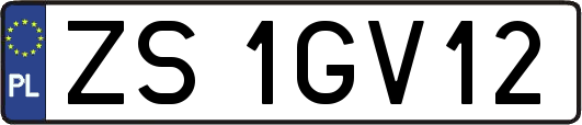 ZS1GV12