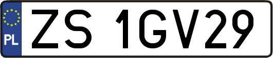 ZS1GV29