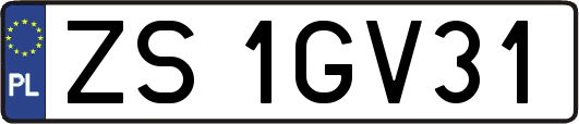 ZS1GV31