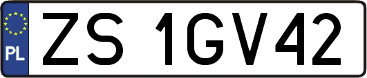 ZS1GV42