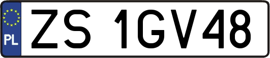 ZS1GV48