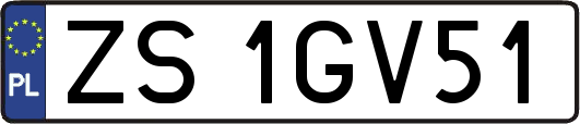 ZS1GV51