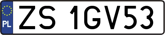 ZS1GV53