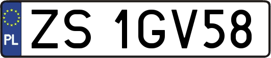 ZS1GV58