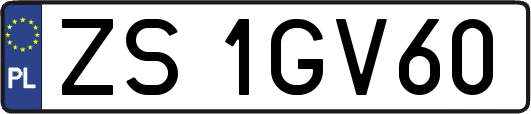 ZS1GV60