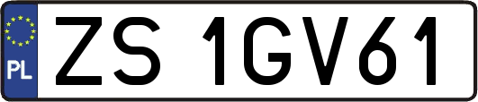 ZS1GV61