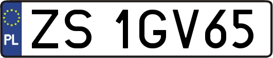 ZS1GV65