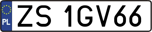 ZS1GV66