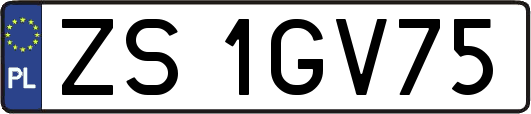 ZS1GV75
