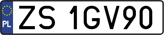 ZS1GV90