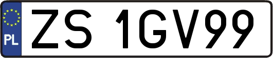 ZS1GV99