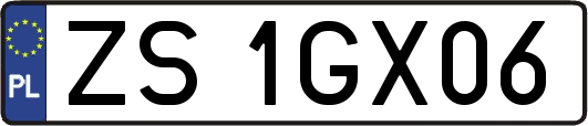 ZS1GX06