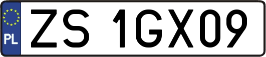ZS1GX09