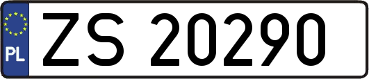 ZS20290