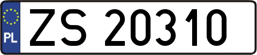 ZS20310